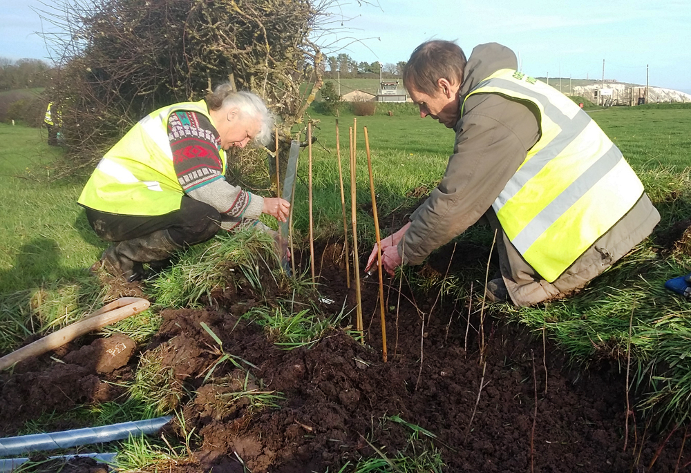 VOLUNTEERS PLANT HUNDREDS OF NEW TREES IN SANDOWN