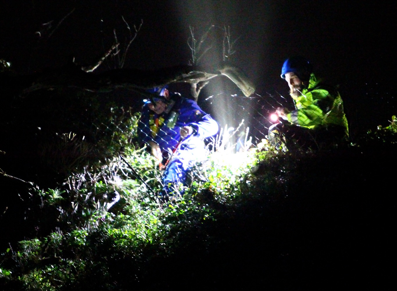 DOG RESCUED FROM BONCHURCH CLIFF BY COASTGUARD RESCUE TEAMS
