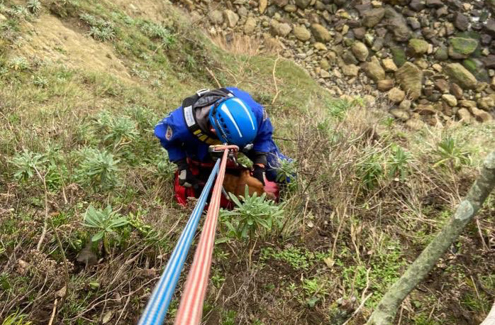 COASTGUARD CALLED TO RESCUE DOG OVER THE CLIFF AT VENTNOR