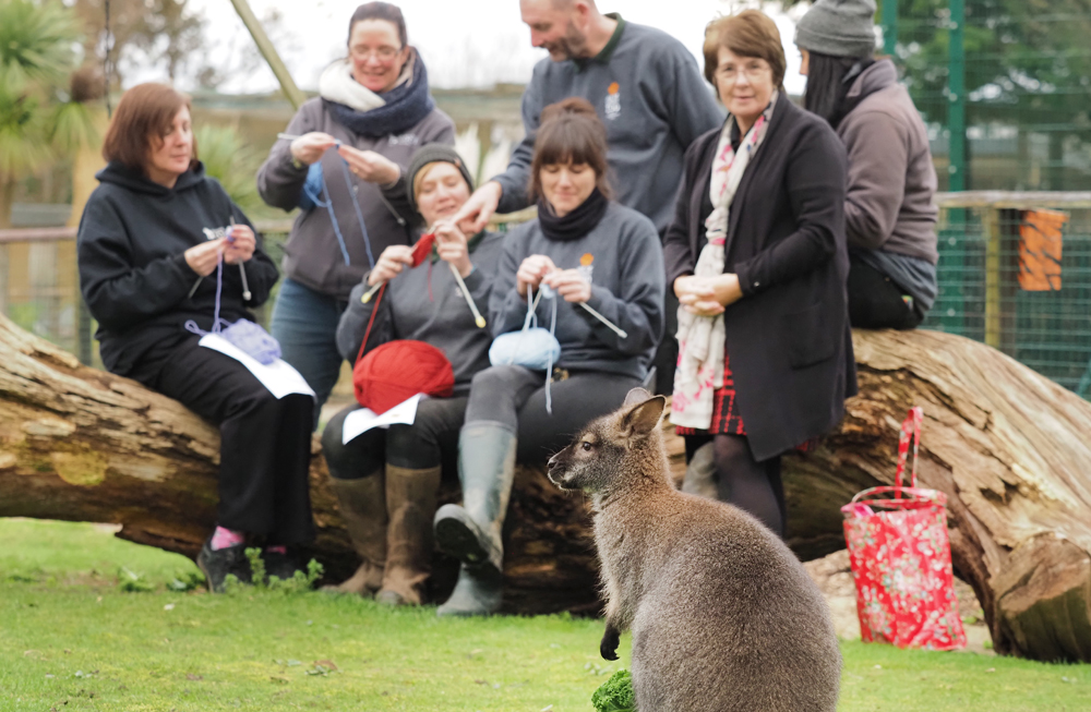 ZOO COMMUNITY KNITS TOGETHER FOR AUSTRALIAN ANIMAL ORPHANS