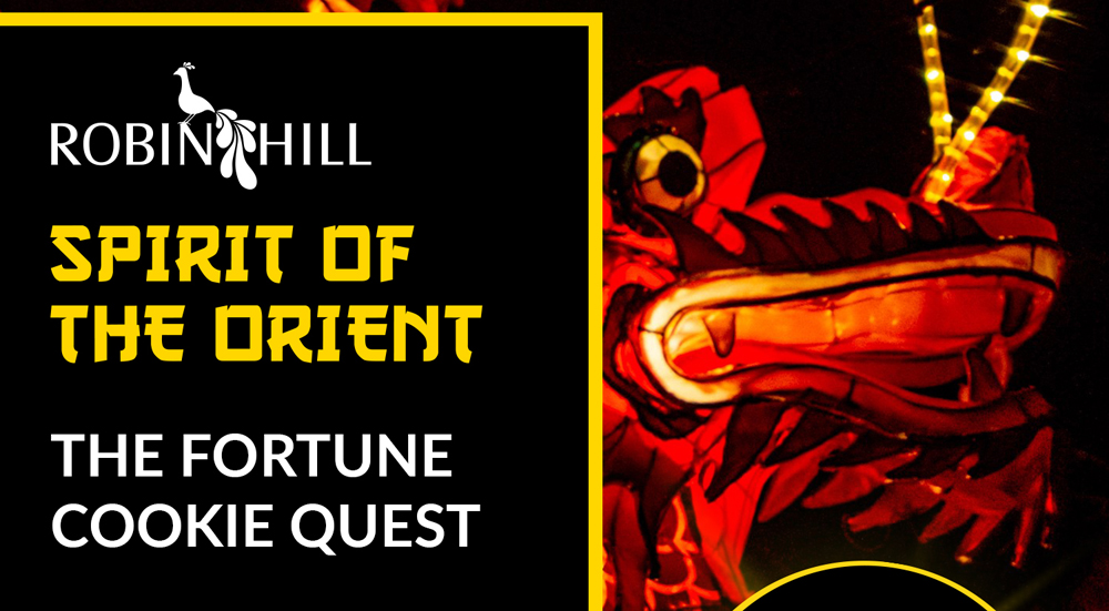 THE FORTUNE COOKIE QUEST IS BACK BY POPULAR DEMAND