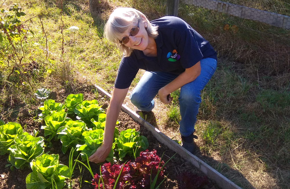 WEST WIGHT TIMEBANK HELPING TO ADDRESS CLIMATE ACTION THANKS TO LOTTERY FUNDING