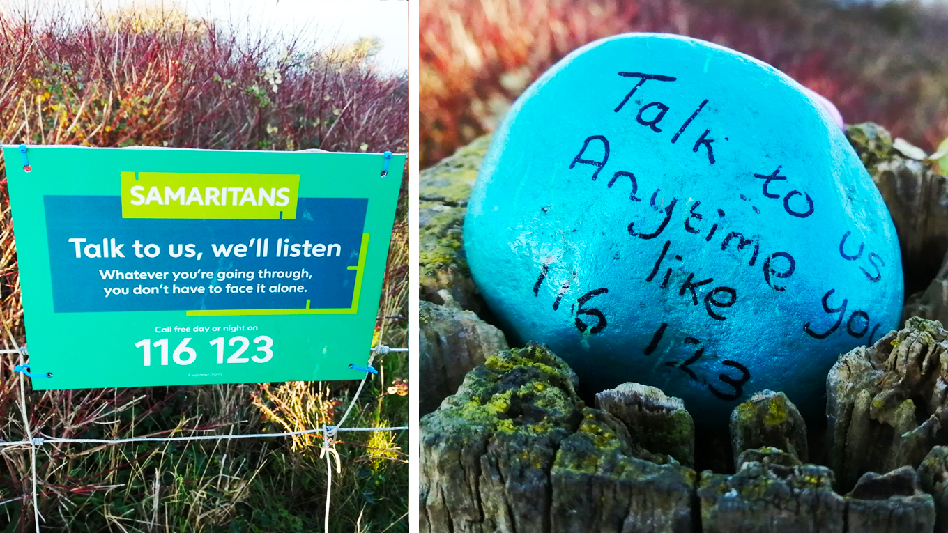 BEMBRIDGE RNLI PRAISE THE PUBLIC FOR THEIR PAINTED PEBBLES ON CULVER DOWN