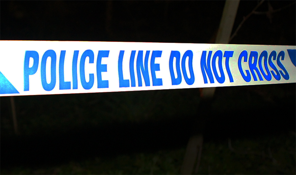 MANSLAUGHTER ARREST AS MAN DIES FOLLOWING TREE SURGERY INCIDENT IN NITON
