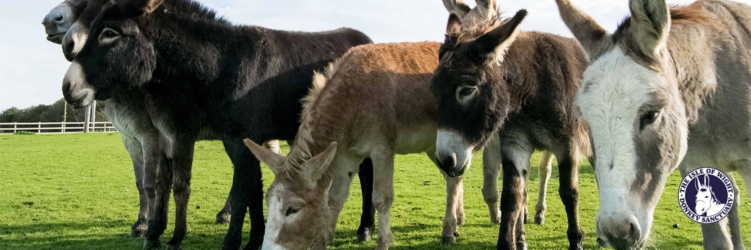 DONKEY SANCTUARY BATTEN DOWN THE HATCHES – DOORS CLOSED ON SUNDAY