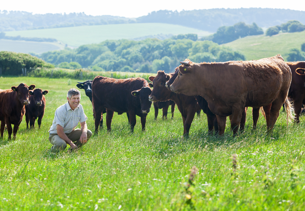 MAJOR ISLE OF WIGHT FARM INVESTMENT TO TRANSFORM LIVESTOCK PRODUCTION