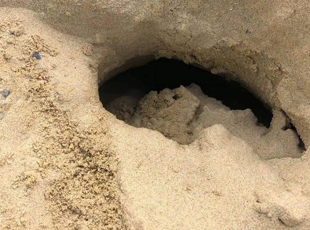 BEACH CORDONED OFF AS DEEP SINK HOLES APPEAR