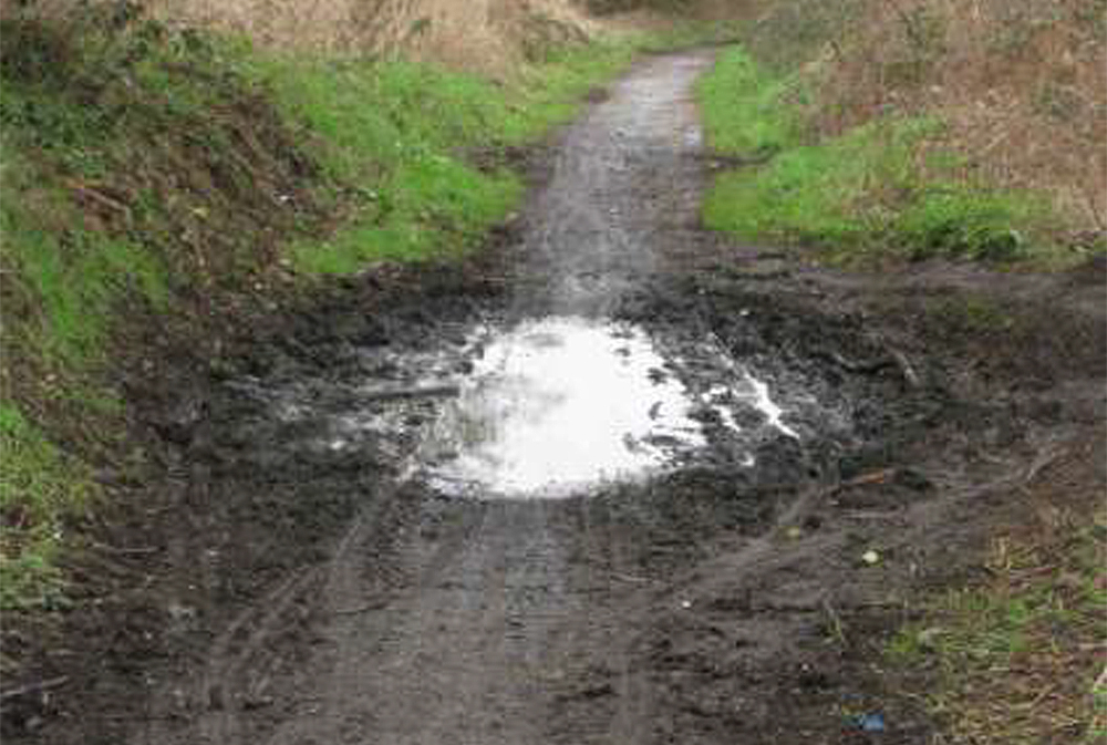 GROUP RAISE CONCERNS OVER THE STATE OF THE ISLAND’S NATIONAL CYCLE NETWORK