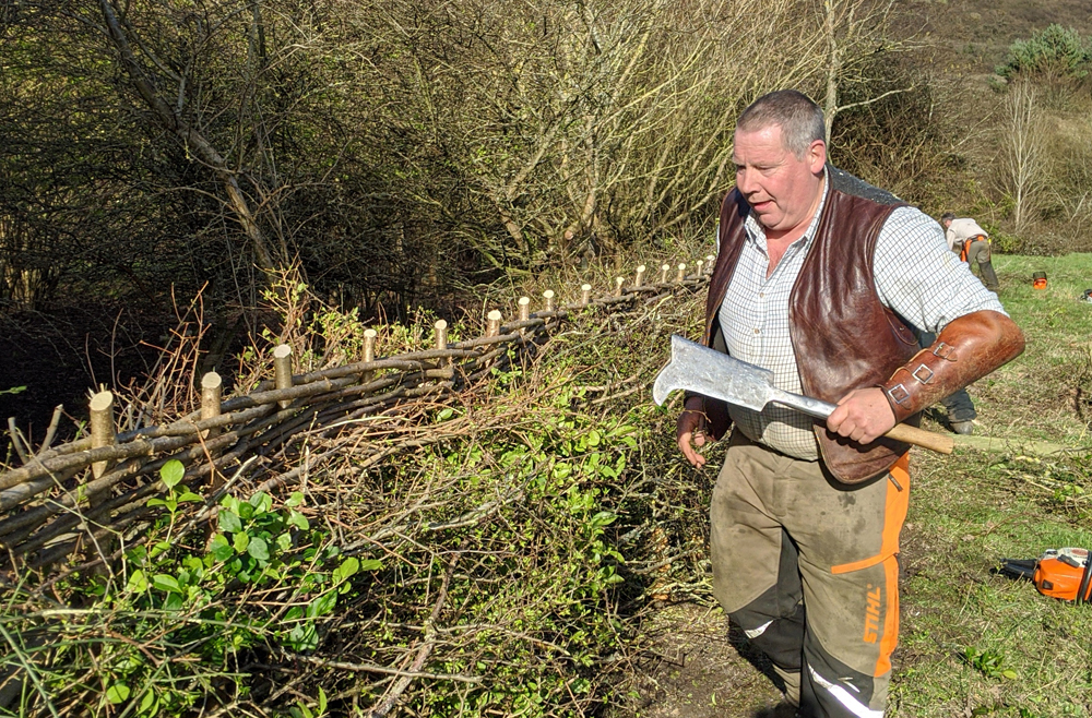 STRONG TURNOUT DESPITE FORECAST FOR 27TH ANNUAL HEDGELAYING COMPETITION