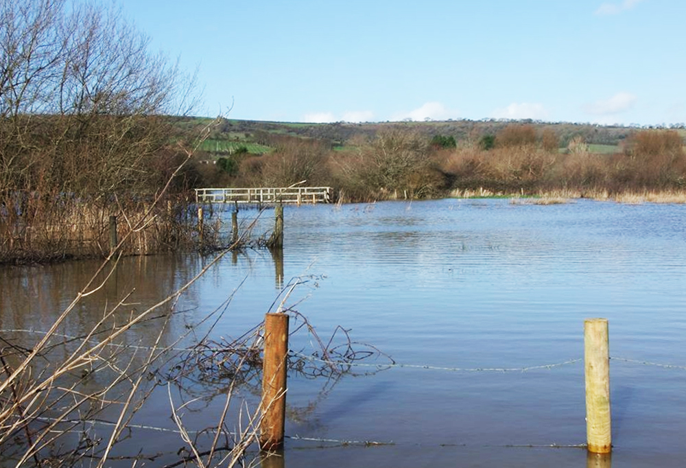 DOG WALKERS WARNED OF PLATYPUS ATTACKS ON THE EASTERN YAR