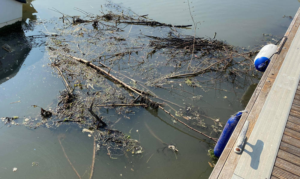 CUT AND CHARRED TIMBERS DUMPED IN WOOTTON CREEK ‘A HAZARD TO SHIPPING’