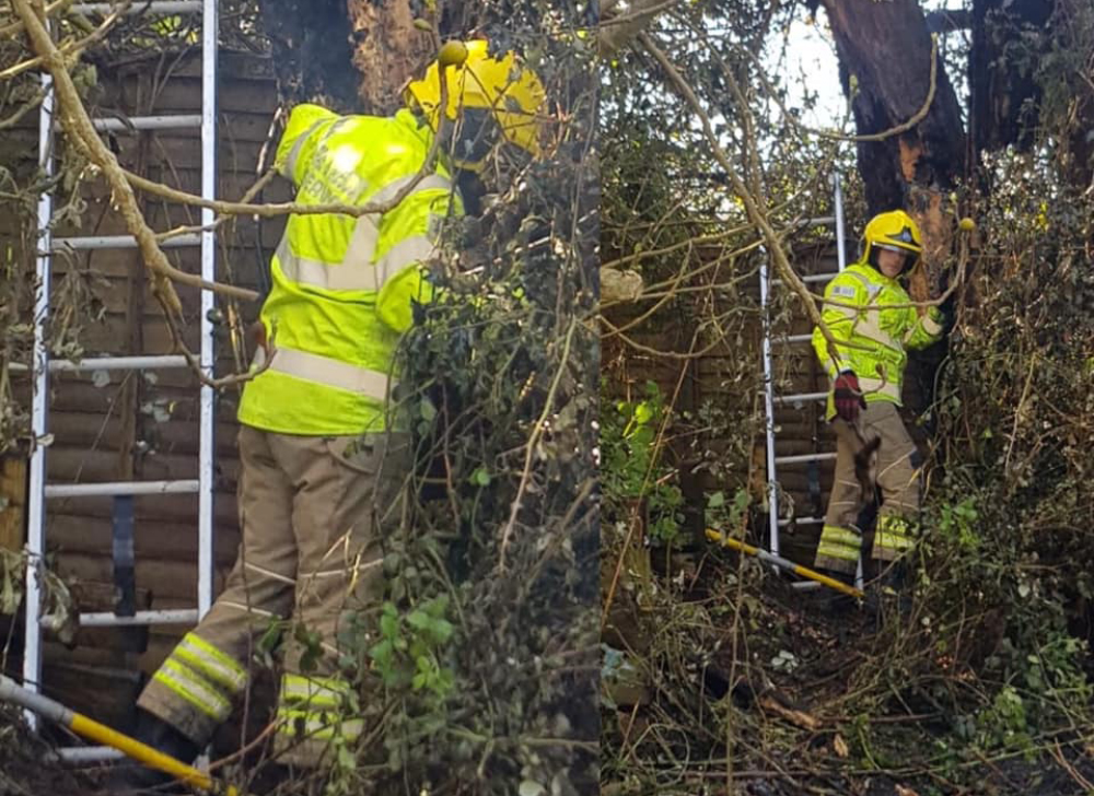 GARDEN BONFIRE NEAR YARMOUTH SPREADS TO BRAMBLES AND TREES