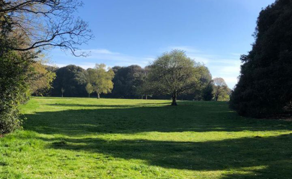 SUNBATHERS – INCLUDING 1 ALREADY FINED – MOVED ON BY POLICE IN SANDOWN