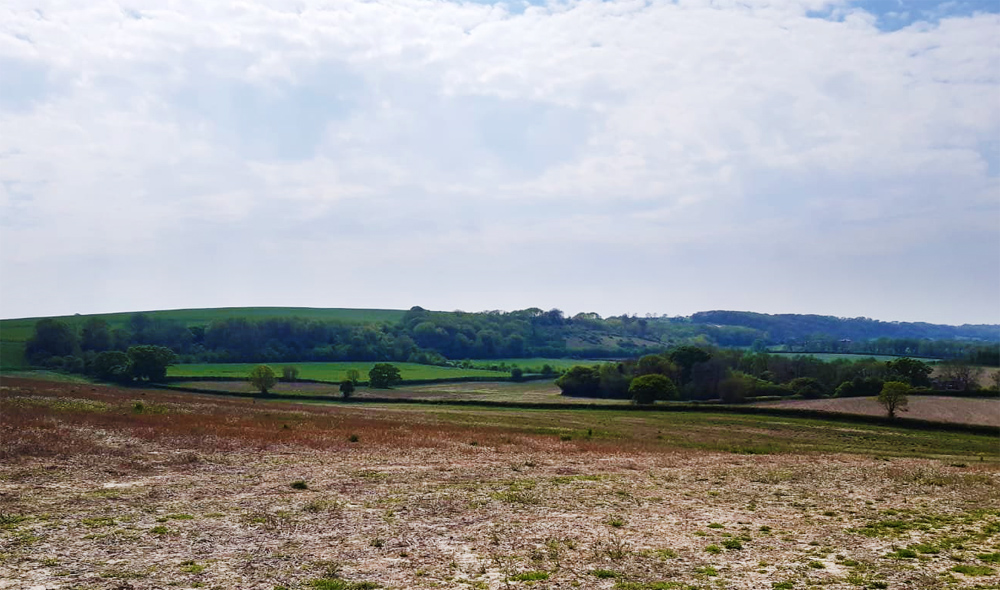 HAMPSHIRE & ISLE OF WIGHT WILDLIFE TRUST PURCHASE LITTLE DUXMORE FARM