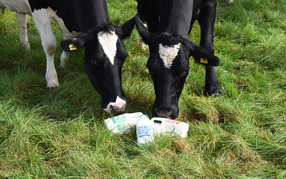 LOCAL MILK PRODUCER HELPS PROTECT ISLAND FOOD SUPPLY DURING PANDEMIC