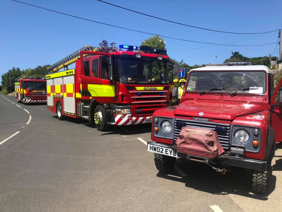 FIREFIGHTERS CALLED TO HORSE TRAPPED IN RAILINGS