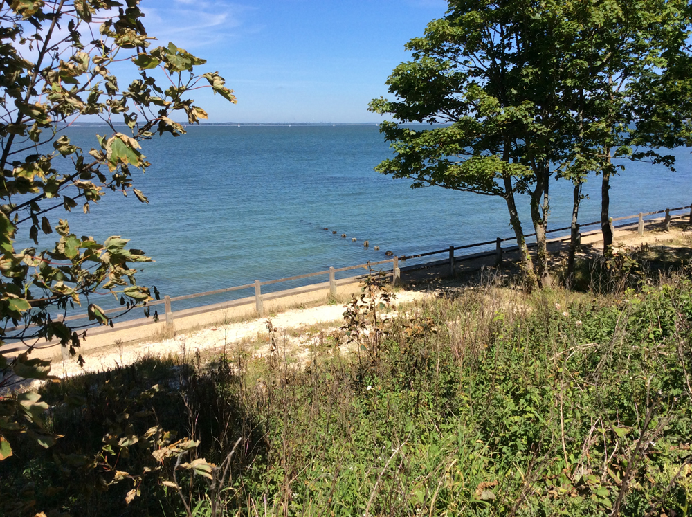 PLANNING OFFICIALS REFUSE BIKE CAFÉ APPLICATION FOR YARMOUTH COMMON