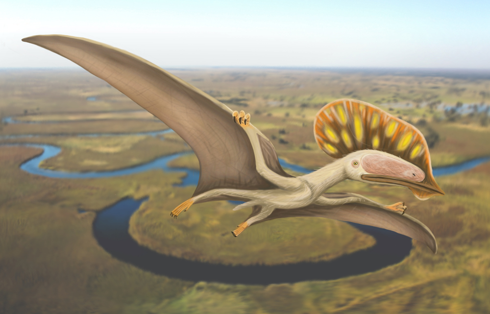 FIRST PTERODACTYL FOSSIL TO BE FOUND IN THE UK DISCOVERED IN SANDOWN