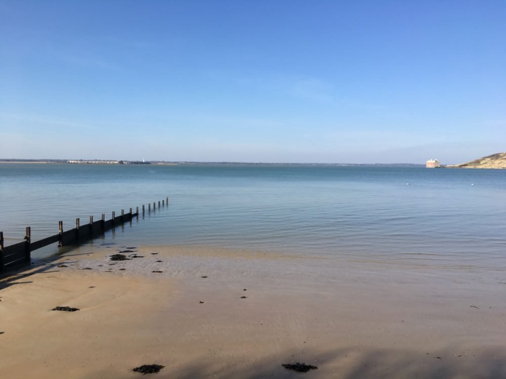 READERS’ GALLERY: 8TH MAY 2020