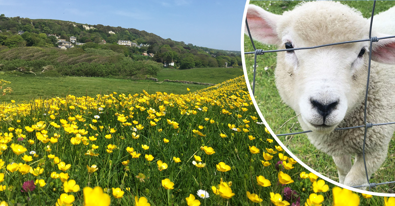 READERS’ GALLERY: 15TH MAY 2020