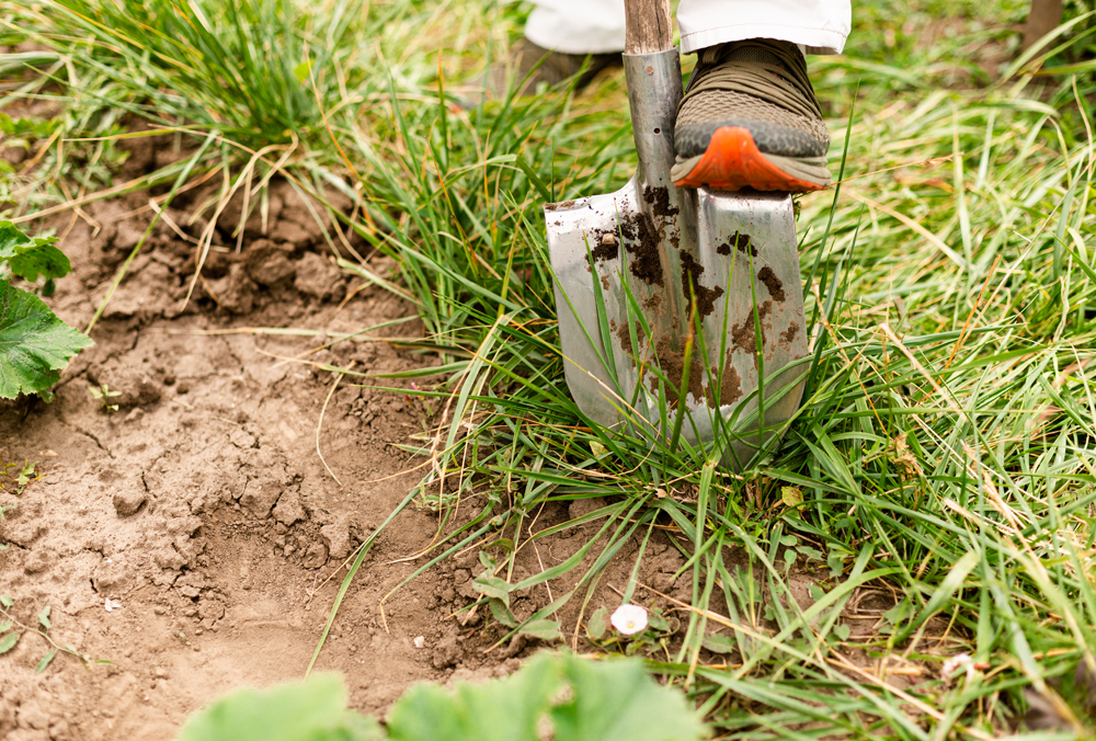 SSEN ENCOURAGES ITS CUSTOMERS TO STAY SAFE THIS LATE MAY BANK HOLIDAY WEEKEND