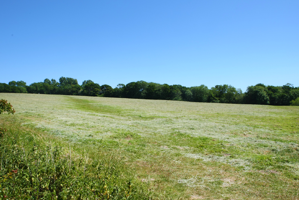 PENNYFEATHERS DEVELOPERS SUBMIT APPLICATIONS TO ADJUST PLANNING CONDITIONS