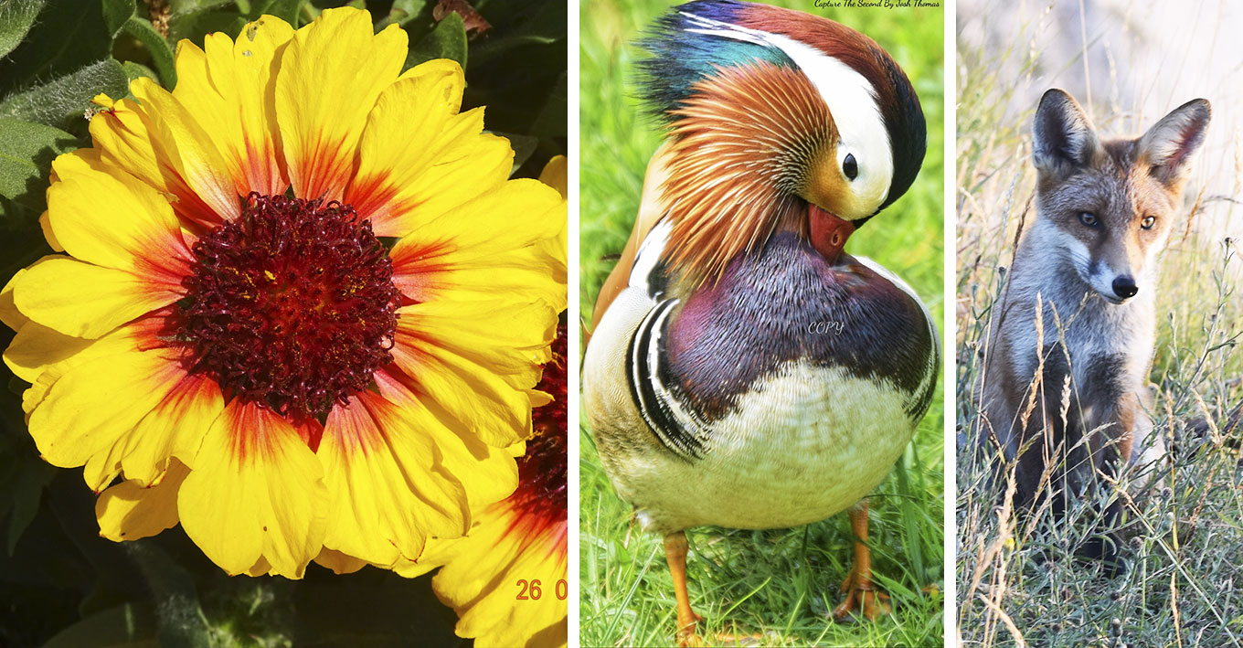 READERS’ GALLERY: 1ST MAY 2020