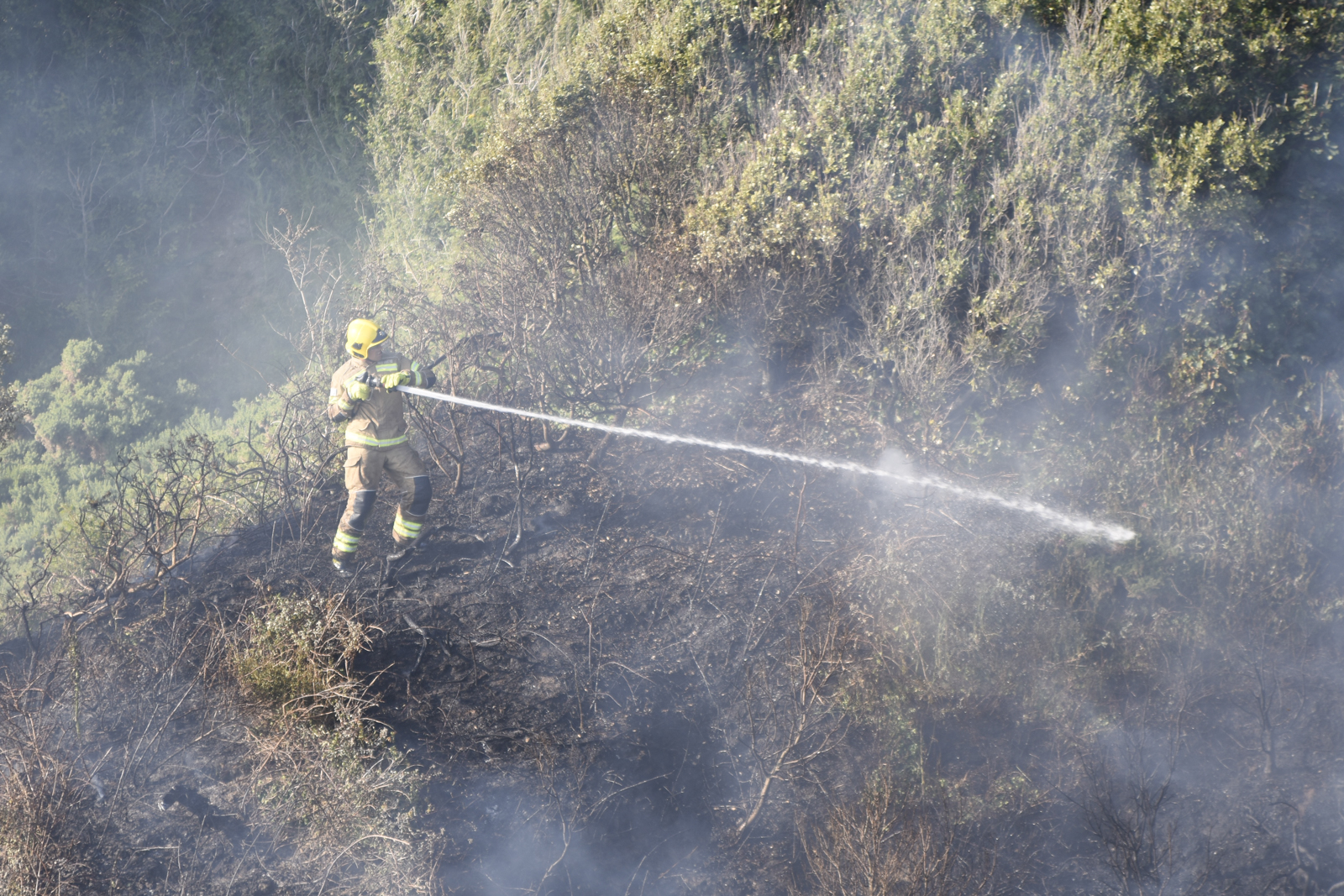 SPELL OF DRY AND WARM WEATHER BRINGS INCREASED WILDFIRE RISK - Island ...