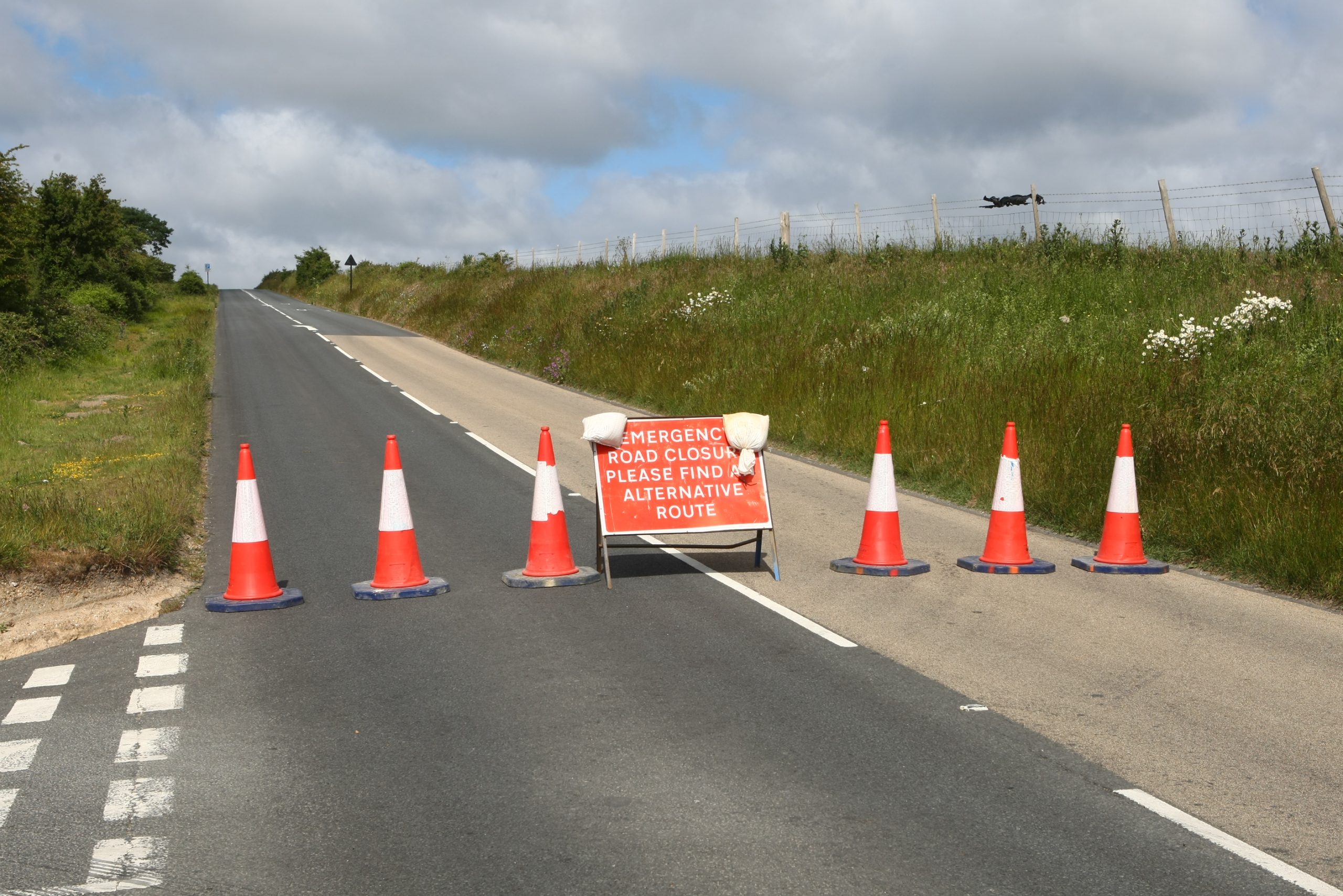 DOWNS CLOSED AFTER VEHICLE CAREERS OFF THE ROAD