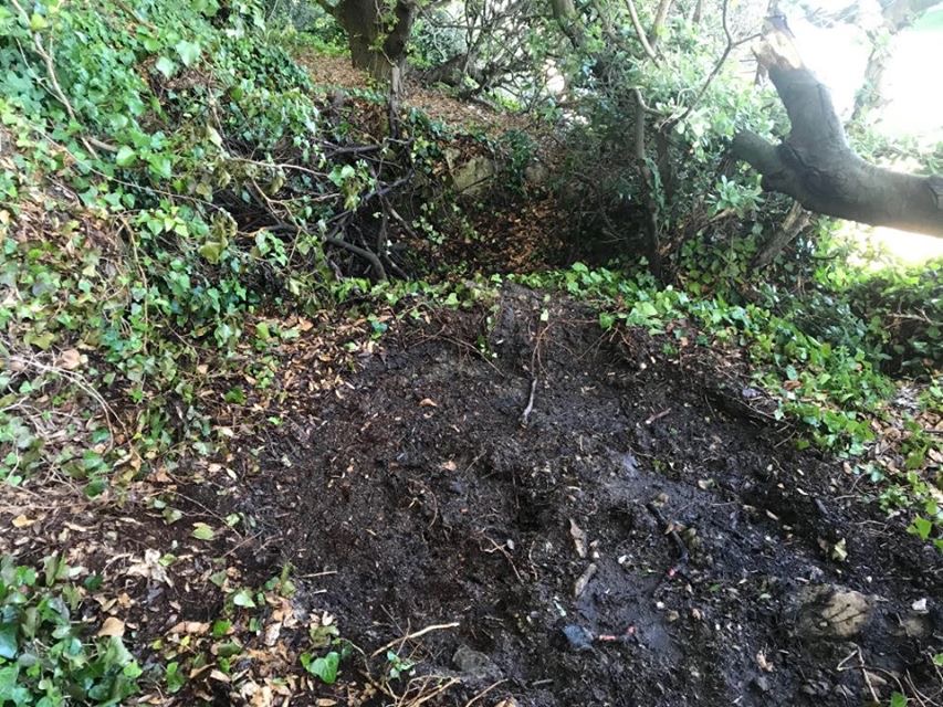 UNDERGROWTH FIRES EXTINGUISHED AT VENTNOR