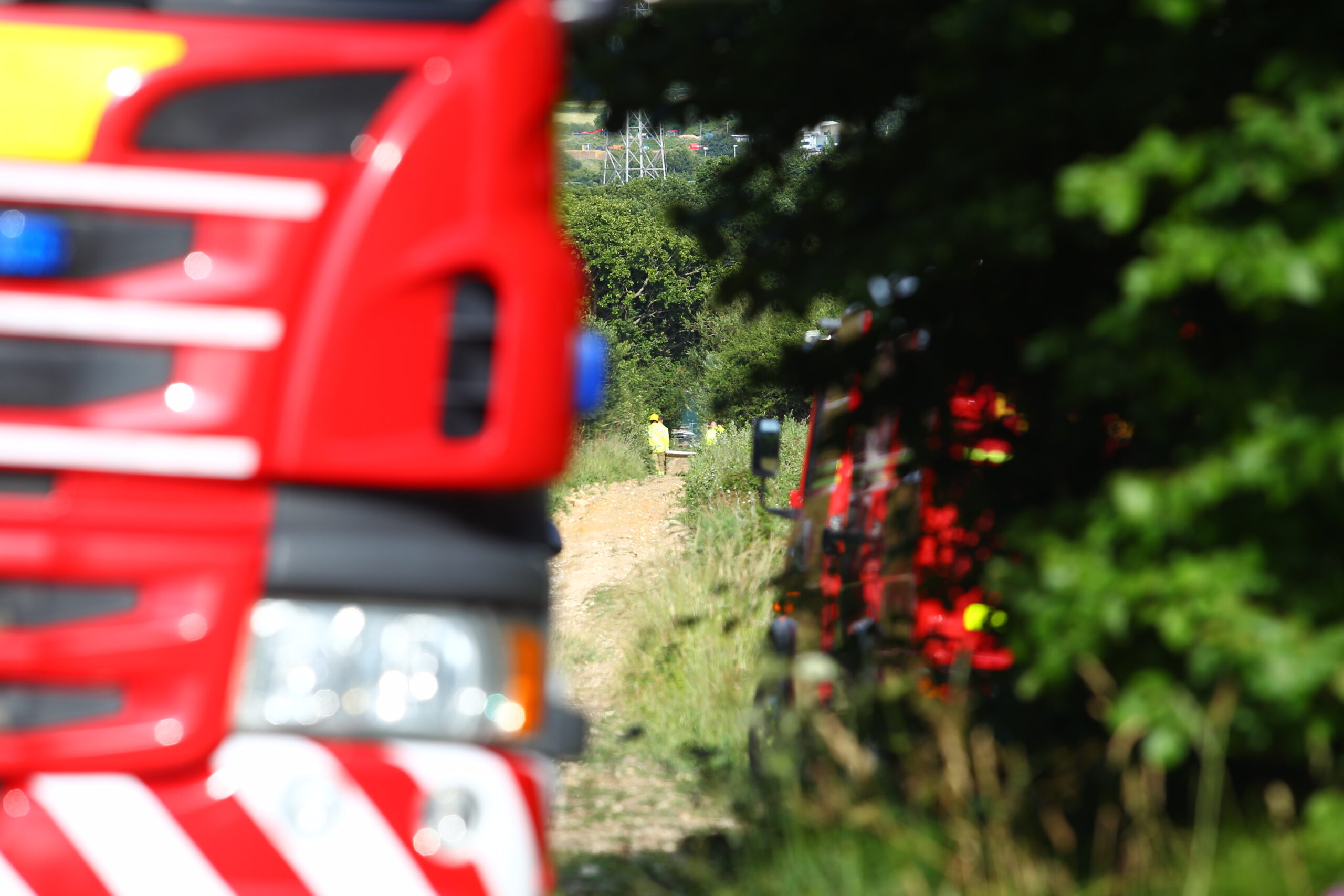 HORSE TRAPPED BETWEEN BRANCHES IN FIELD OFF HORSEBRIDGE HILL