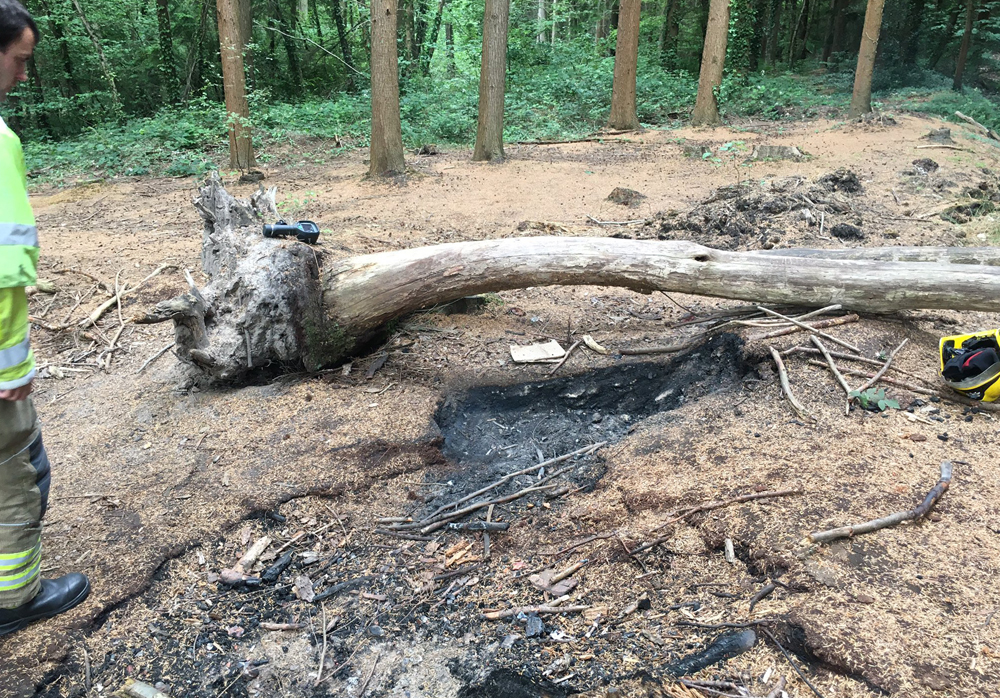 FIREFIGHTERS EXTINGUISH ‘IRRESPONSIBLE’ CAMP FIRE IN FOREST