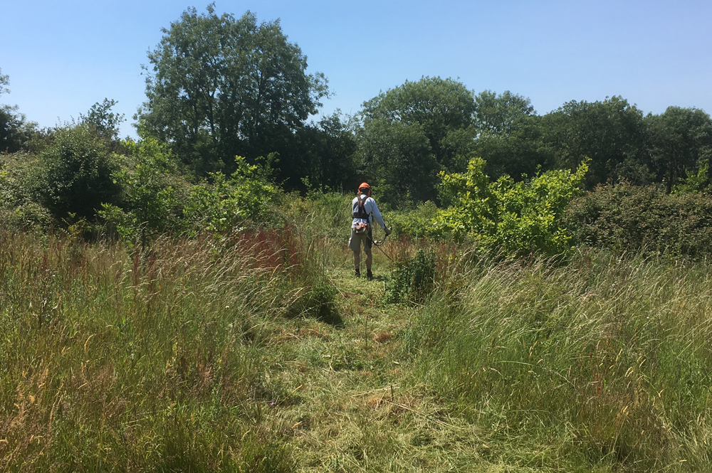 NEW COUNTRY PARK OPENED UP IN RYDE THANKS TO LOCAL COUNCILS