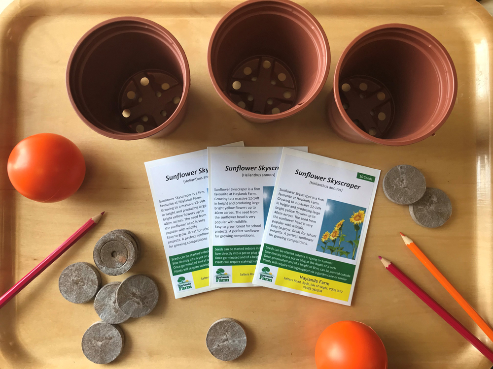 GET, SET, GROW! HIGH HOPES FOR FOSTER CARER’S SUNFLOWER CHALLENGE