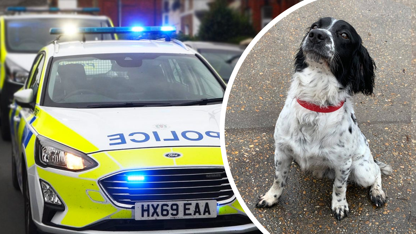 15-YEAR-OLD ARRESTED AFTER DRUGS RAID ON NEWPORT ADDRESS