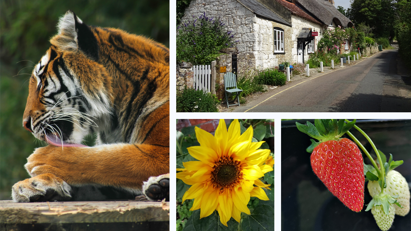 READERS’ GALLERY: 26TH JUNE 2020