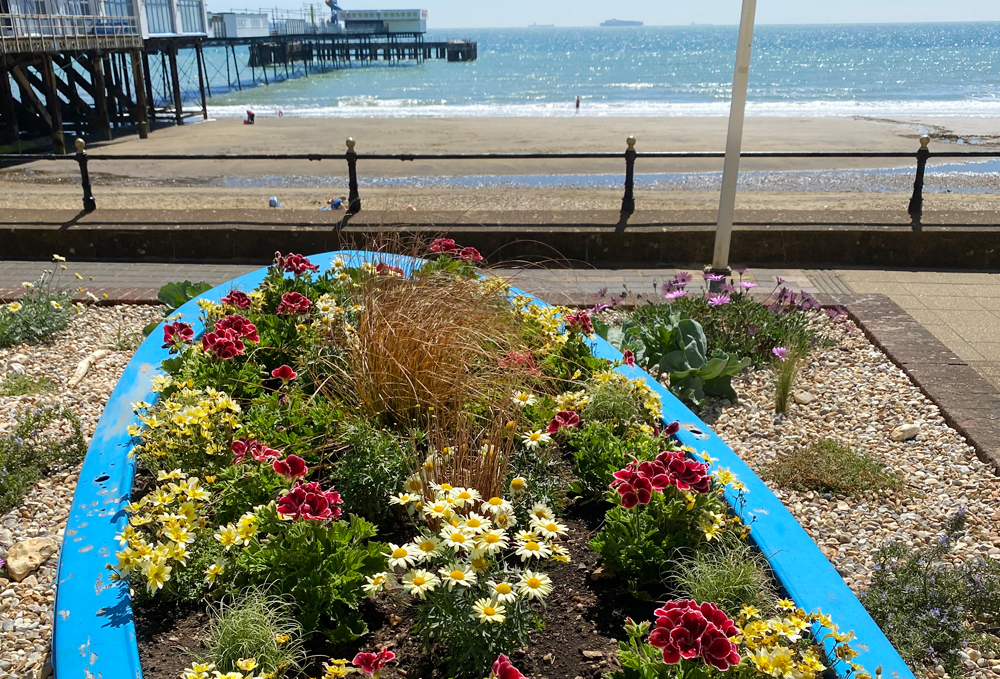SANDOWN IS STILL BLOOMING THIS SUMMER – GET YOUR ENTRY IN TODAY