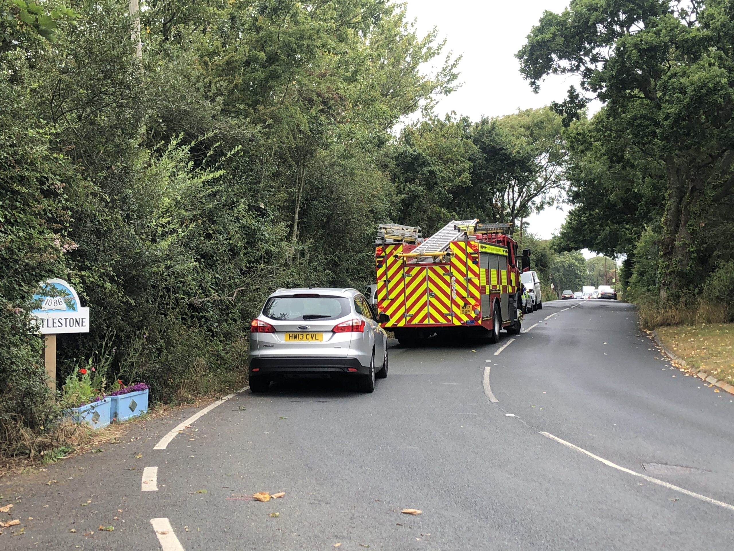 CAR CRASHES INTO HEDGEROW IN NETTLESTONE