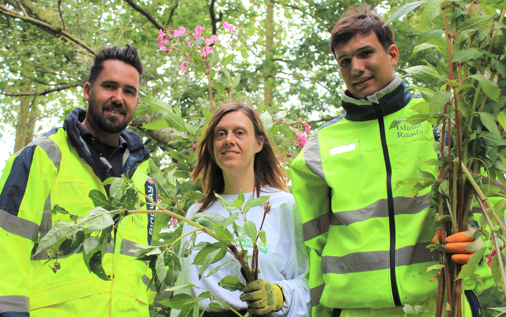 LANDOWNERS URGED TO HELP TACKLE INVASIVE WEED SPECIES BEFORE SEED EXPLOSION