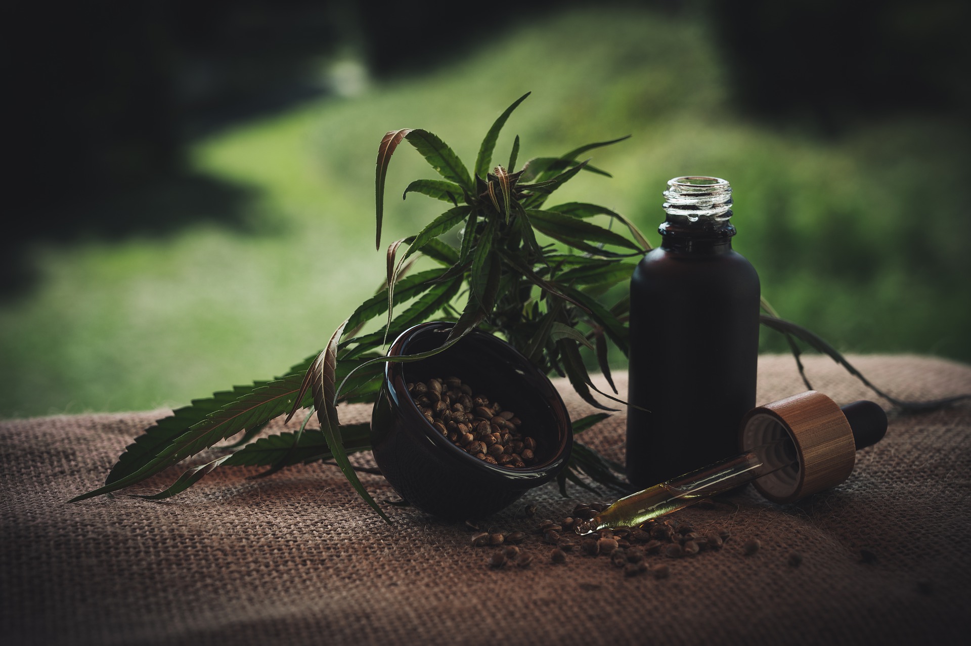 CBD OILS TO BUY IN THE UNITED KINGDOM (OUR PICK: BLESSED CBD)
