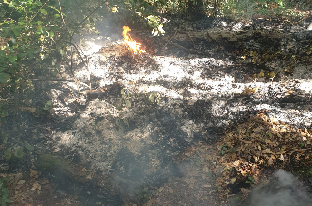 FIRE IN THE OPEN TACKLED IN GURNARD