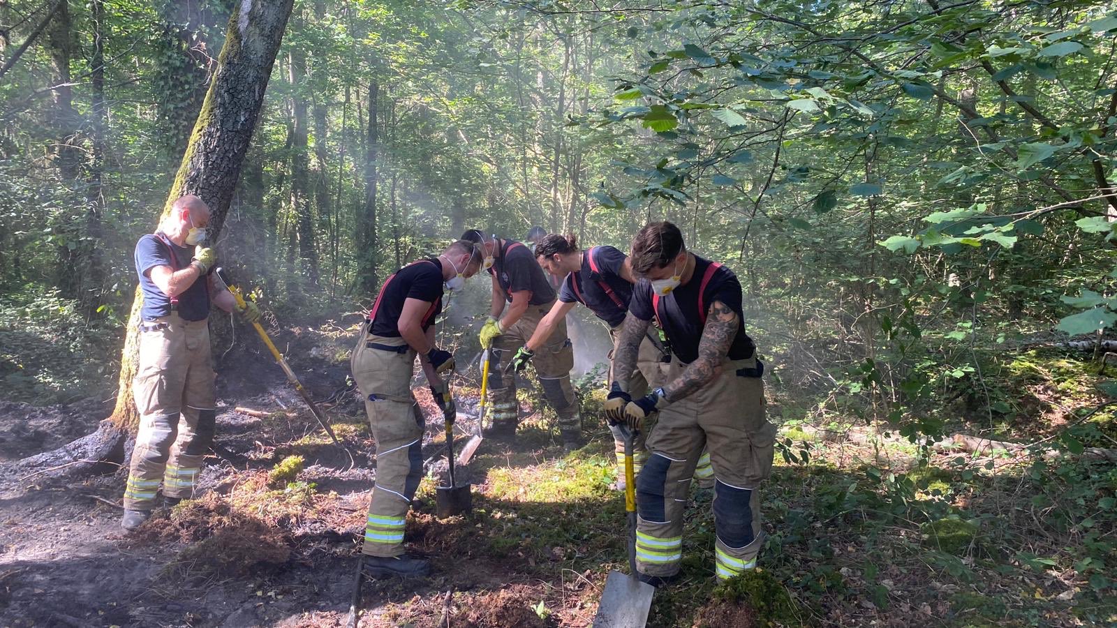FIRE CREWS CALLED TO WOODLAND FIRE IN HAVENSTREET
