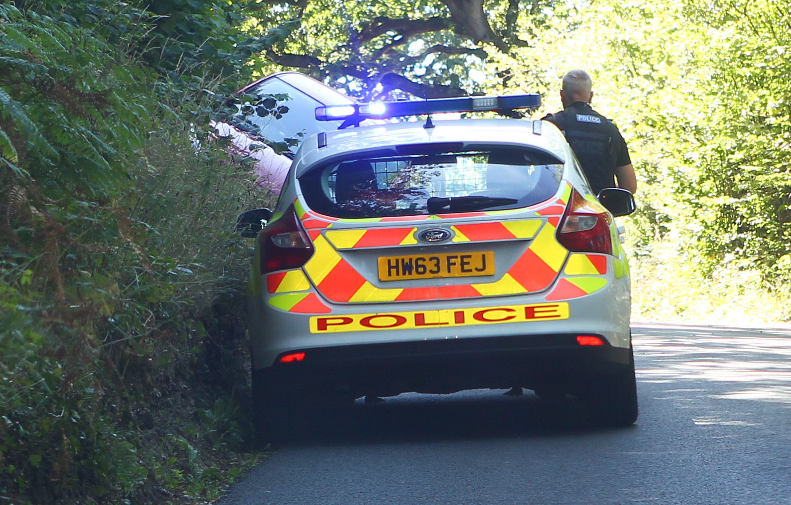 DIVERSION DELAYS AS SUZUKI CRASHES IN HAVENSTREET