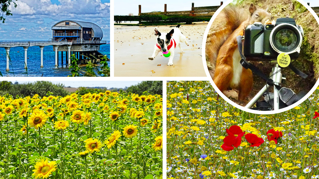 READERS’ GALLERY: 17TH JULY 2020