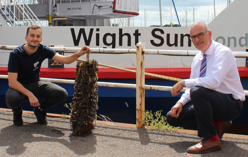 OYSTERS ARE BACK IN THE LYMINGTON RIVER THANKS TO WIGHTLINK