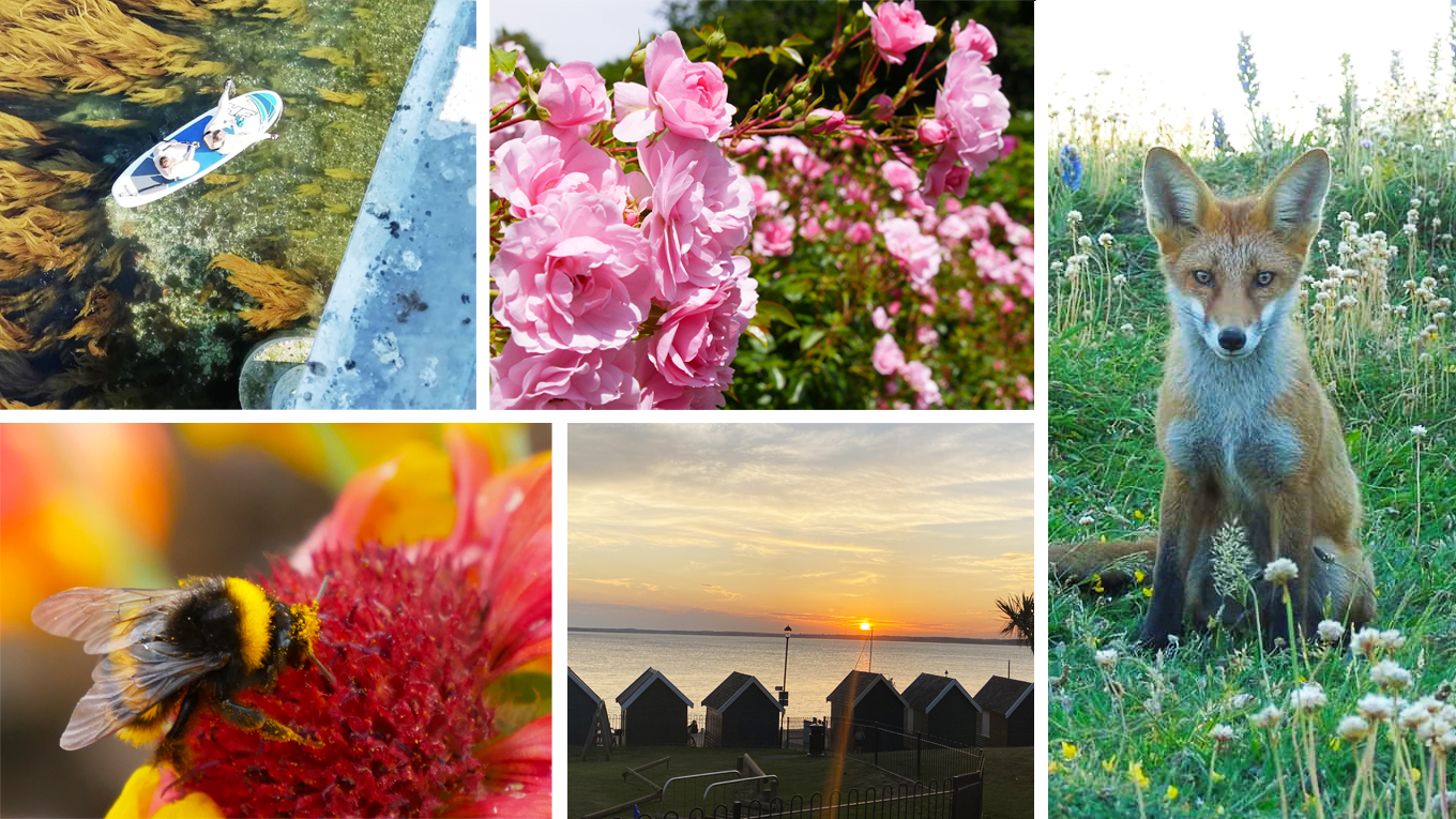READERS’ GALLERY: 3RD JULY 2020