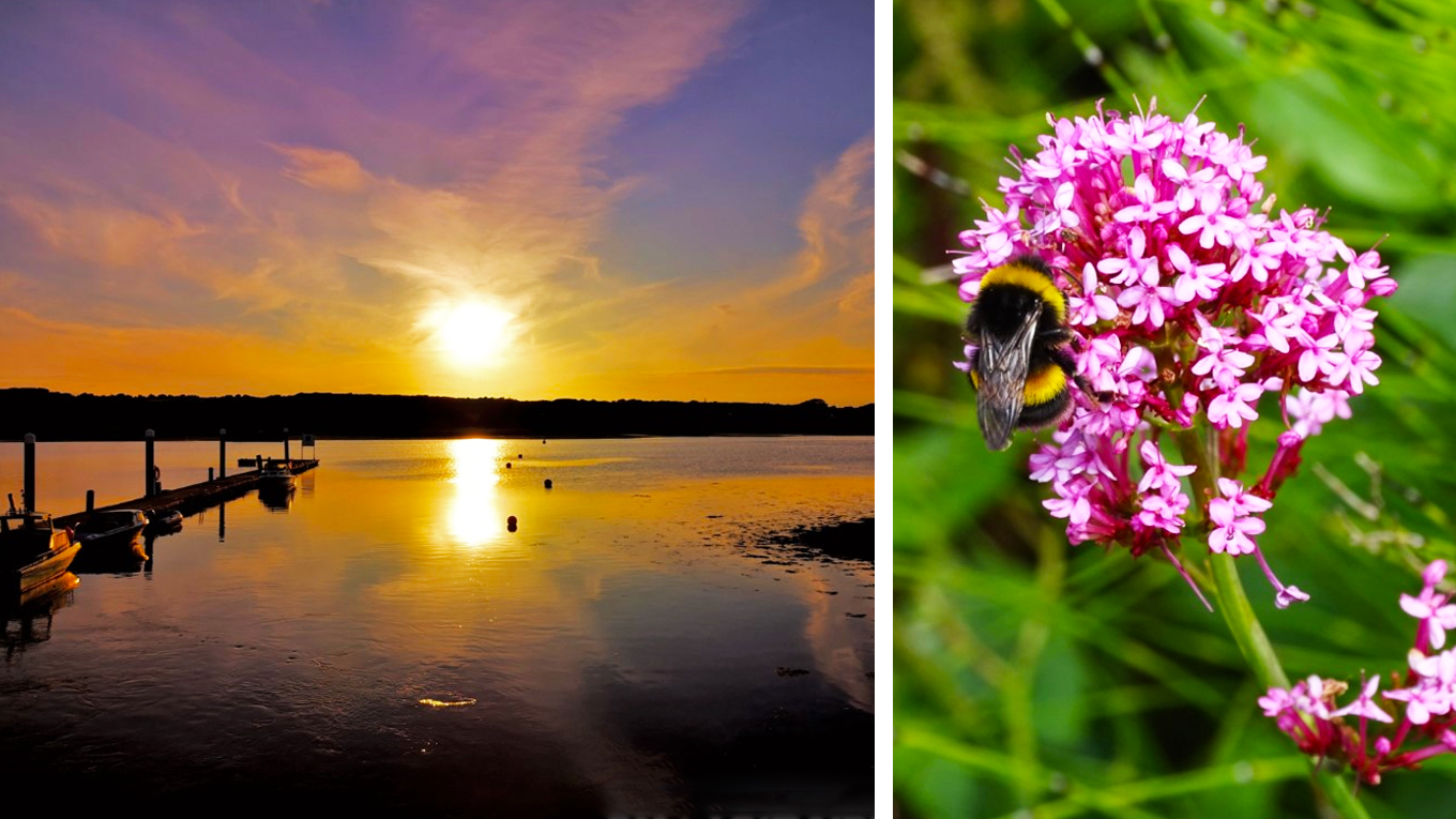 READERS’ GALLERY: 10TH JULY 2020