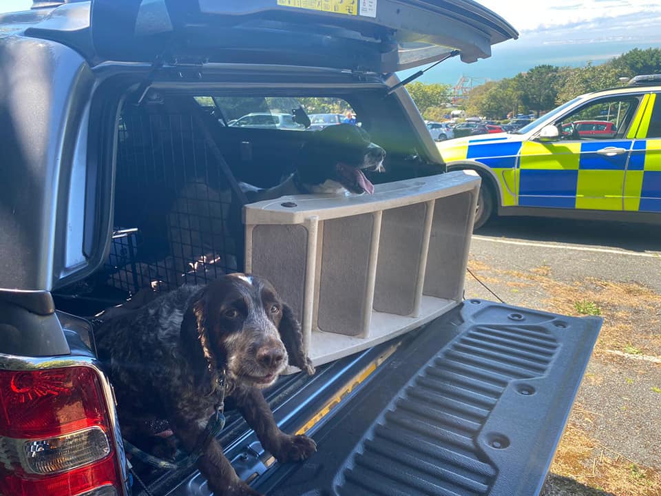 DOGS LEFT IN HOT CAR PROMPTS POLICE RESPONSE
