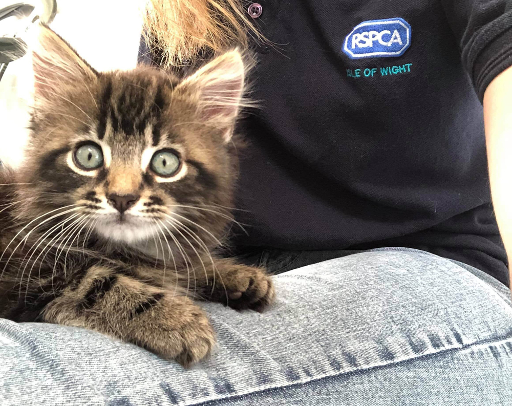 RSPCA LAUNCH EMERGENCY APPEAL AS CHARITY FACES COVID-19 STRUGGLE