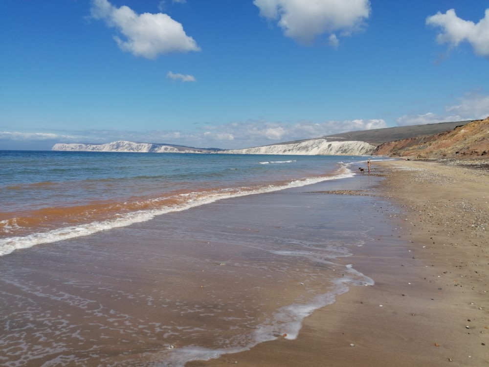READERS’ GALLERY: 14TH AUGUST 2020